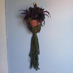 Hanging Plant Holder